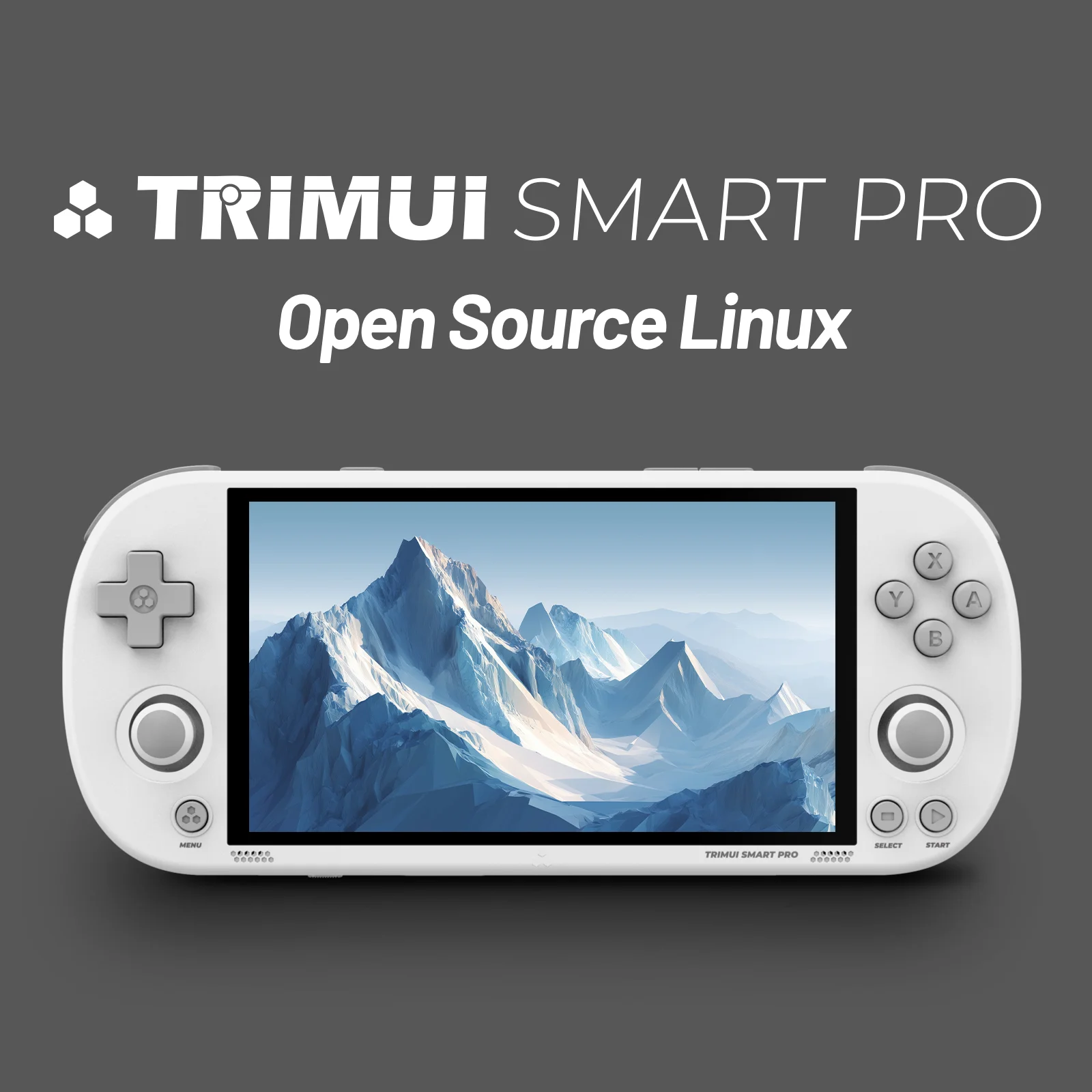 Gaming Console Under 5000 - Trimui Smart Pro 4,96